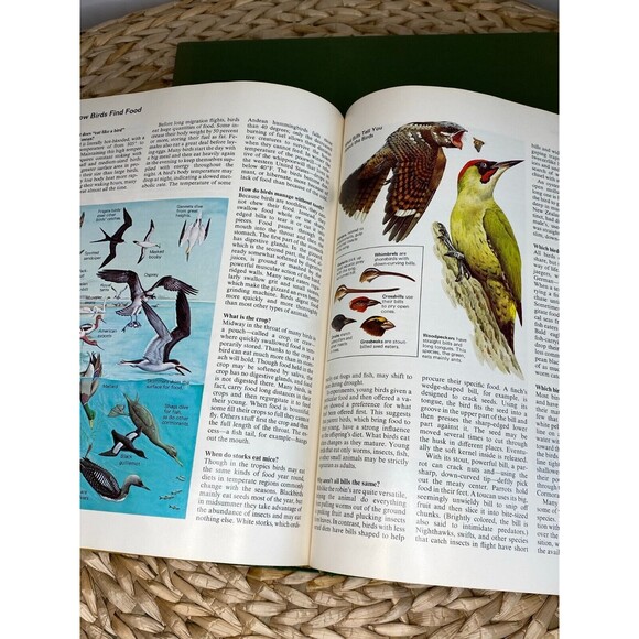 Curated Lot of 4 Vintage Flower/Nature Subject Stack of Books for Shelf/Table - Picture 11 of 15